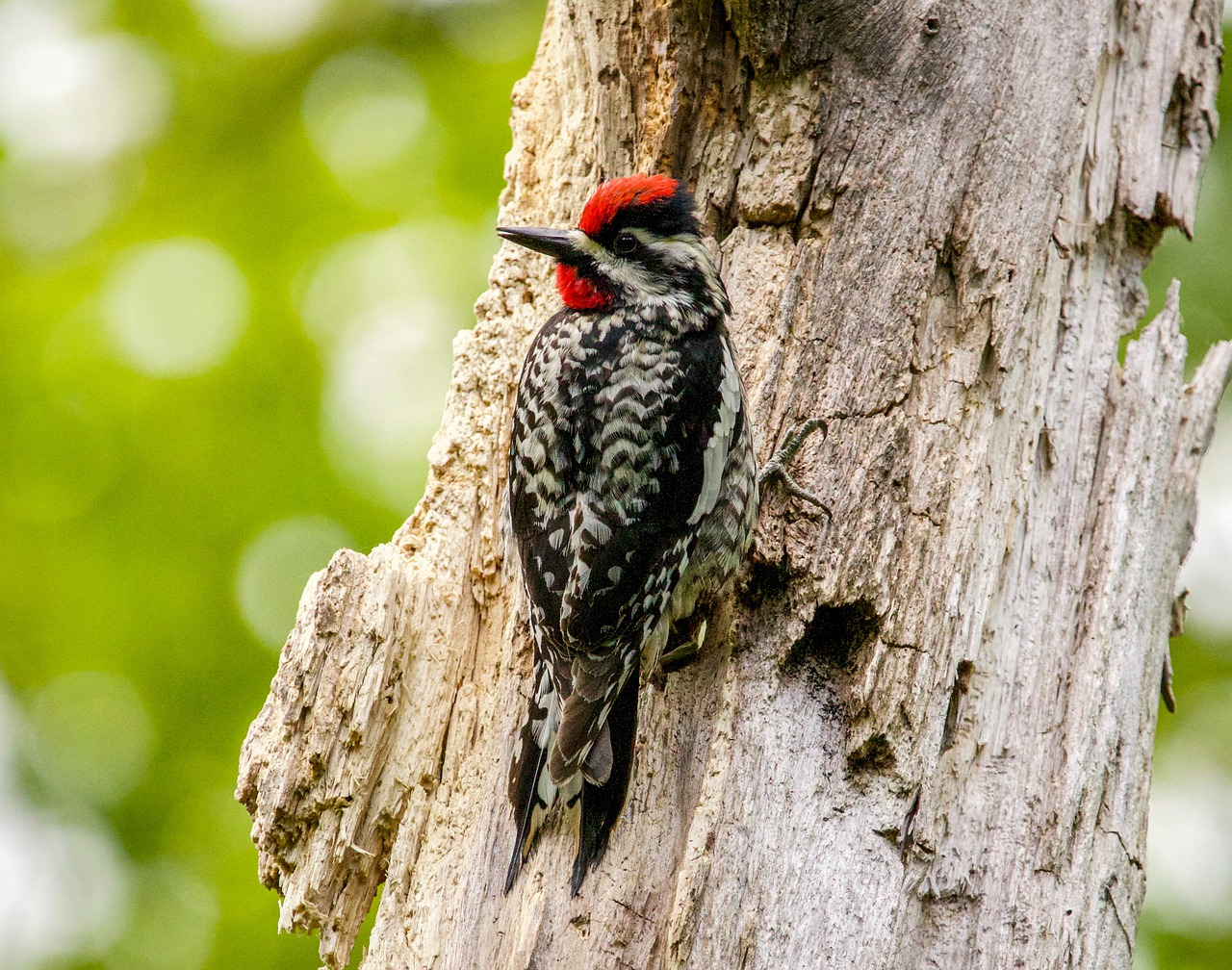 괌pic 가족여행 준비물